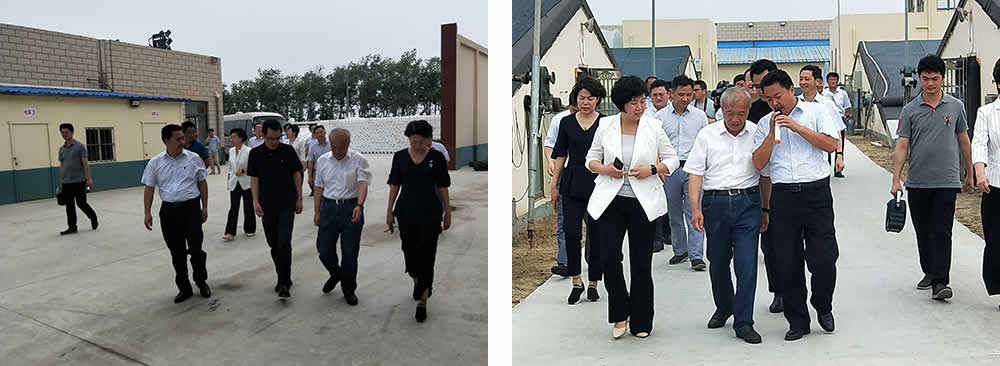 新聞=省委胥秘書(shū)長(cháng)與省農業(yè)農村廳楊廳長(cháng)一行及市、縣等領(lǐng)導，來(lái)我司視察01.jpg