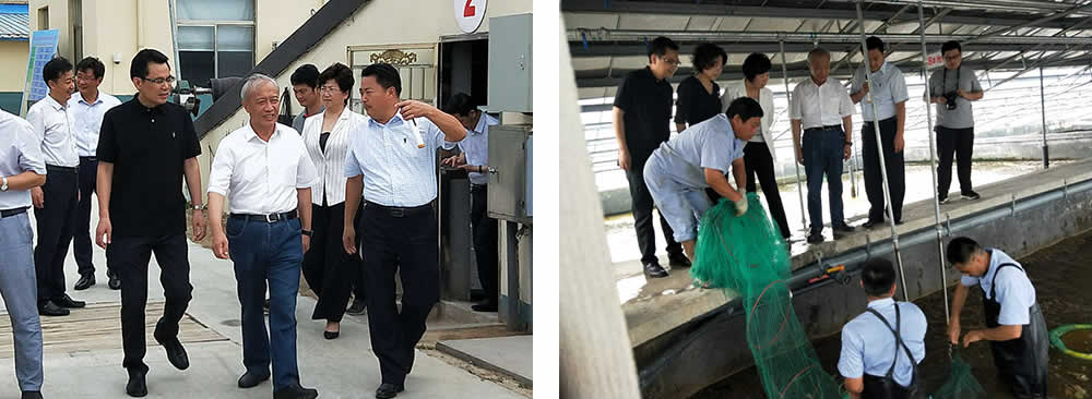 新聞=省委胥秘書(shū)長(cháng)與省農業(yè)農村廳楊廳長(cháng)一行及市、縣等領(lǐng)導，來(lái)我司視察03.jpg