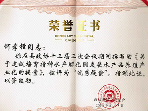 優(yōu)秀提案榮譽(yù)證書(shū)（2019）