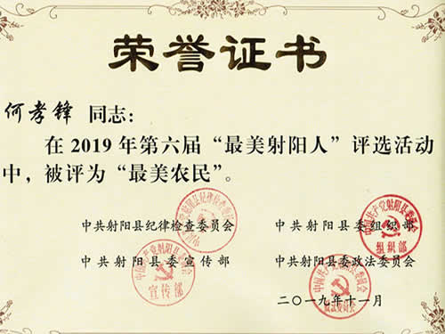 最美射陽(yáng)人榮譽(yù)證書(shū)